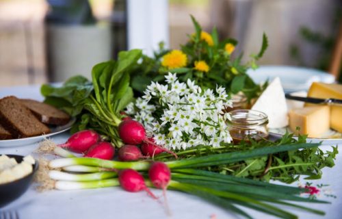 Iskoristite priliku za prolećni detoks: Šest biljaka koje regenerišu organizam i pune su vitamina