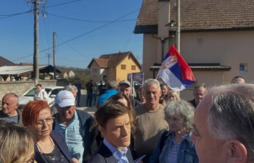 Ana Brnabić u Lučanima: "Srbija mora da radi, nikako da stoji i bude blokirana" (FOTO)