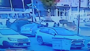 Američka novinarka oteta u Bagdadu: Pojavio se stravičan snimak napada nasred ulice