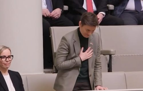 Velika čast: Svi poslanici finskog parlamenta ustali i aplauzom pozdravili Brnabić (VIDEO)