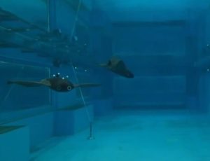 Stiglo čudo od drona: Savitljiva kineska “raža” kreće u lov na podmornice