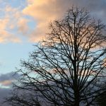 Vrelini se bliži kraj: Stiže zahlađenje u Srbiju, meteorolog najavio pad temperature za čak 20 stepeni