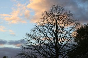 Danas promenljivo oblačno, uz povremenu kišu u pojedinim delovima Srbije: Temperatura do 15 stepeni