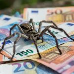 Narodno verovanje mu donelo bogatstvo: Mehaničar zbog pauka bogatiji za 600.000 evra