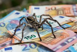 Narodno verovanje mu donelo bogatstvo: Mehaničar zbog pauka bogatiji za 600.000 evra