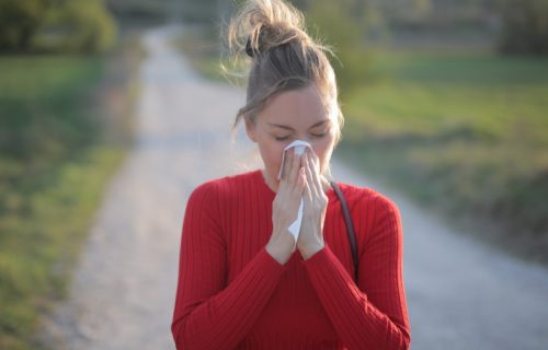 Skoro milion ljudi u Srbiji na udaru: Počinje sezona ambrozije, izbegavajte ova mesta