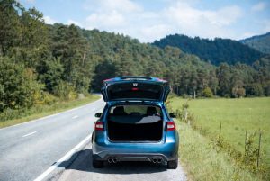 Kod Valjeva izgubljeno “crveno-crno bure veličine praseta”: Internet se valja od smeha, a on muku muči