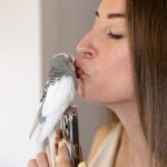 Uneće boje i harmoniju u vaš dom! Mali vodič za početnike: Kako da najbolje odaberete pticu za vas