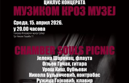 Ciklus koncerata "Muzikom kroz muzej": Chamber Souls Picnic