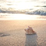 Popularna destinacija na Jadranskom moru zabranila pušenje na plaži