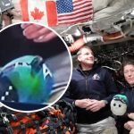 Detalj na snimku astronauta pokrenuo teorije zavere: "I moj pas zna da je lažno" (VIDEO)
