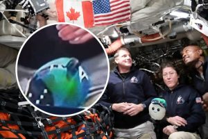 Detalj na snimku astronauta pokrenuo teorije zavere: “I moj pas zna da je lažno” (VIDEO)