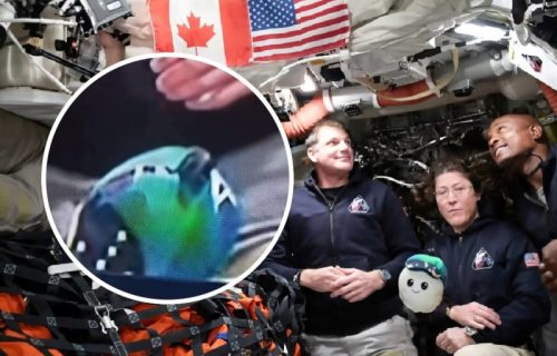 Detalj na snimku astronauta pokrenuo teorije zavere: "I moj pas zna da je lažno" (VIDEO)