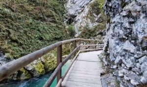 Mađarica tuži Sloveniju jer ju je kamen pogodio u glavu: Prošla kroz pakao i sada hoće 480.000 evra