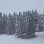 U ovom delu Srbije povremeno veje već 24 sata: Sneg dostigao 10 cm, temperatura ispod nule