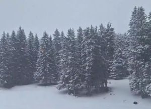 U ovom delu Srbije povremeno veje već 24 sata: Sneg dostigao 10 cm, temperatura ispod nule