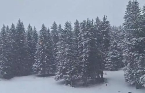 U ovom delu Srbije povremeno veje već 24 sata: Sneg dostigao 10 cm, temperatura ispod nule