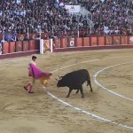 "Osveta" bikova u Španiji: Matador u penziji ubijen kada je ušao u tor