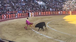 “Osveta” bikova u Španiji: Matador u penziji ubijen kada je ušao u tor