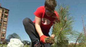 Nikola sam sadi drveće po Leskovcu kako bi ga ozeleneo: Komšije mu se dive, a evo kako je sve krenulo