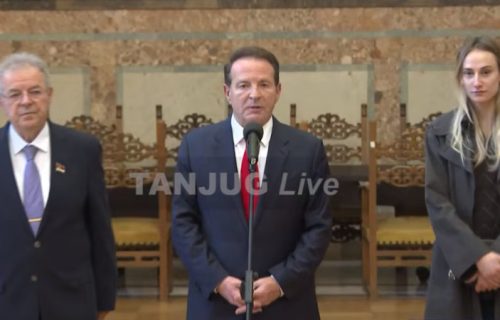 Karić nakon konsultacija sa Vučićem: "Podeljena Srbija nikome nije dobra i zato nam trebaju izbori"