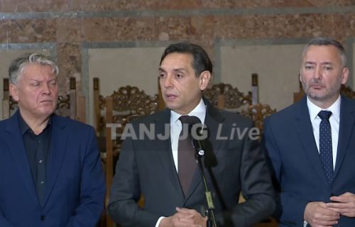 Vulin nakon konsultacija sa Vučićem: "Ne treba raspisivati izbore u ovoj atmosferi"