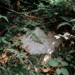 Danijela našla misteriozni kamen sa slovima u dvorištu: To je zapravo bilo blago sa neverovatnom pričom