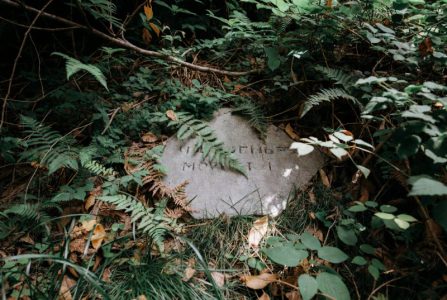 Danijela našla misteriozni kamen sa slovima u dvorištu: To je zapravo bilo blago sa neverovatnom pričom