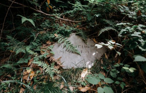 Danijela našla misteriozni kamen sa slovima u dvorištu: To je zapravo bilo blago sa neverovatnom pričom