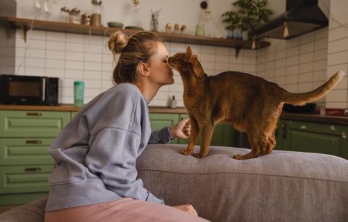 Naučite jezik koji mačke razumeju: 10 gestova koji odmah menjaju ponašanje vašeg ljubimca