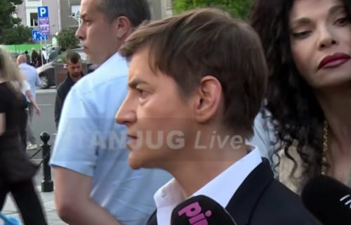 Brnabić u Pionirskom parku: "Videli ste dve Srbije: Jednu koja je za nasilje i jednu koja nije" (VIDEO)
