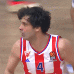 Teodosić zvanično sportski direktor Crvene zvezde