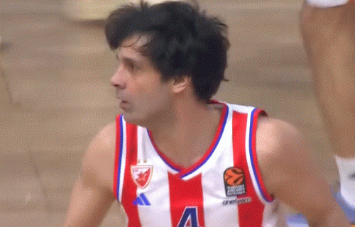 Teodosić zvanično sportski direktor Crvene zvezde
