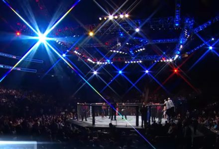 Horor u Hrvatskoj: Pronađeni delovi ljudskog kostura, sumnja se na poznatog MMA borca