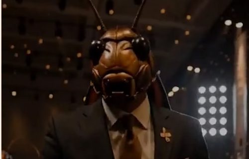 "Stranka bubašvaba" postala viralna: Satirični pokret u Indiji koristi bizarne metode, kruže AI snimci