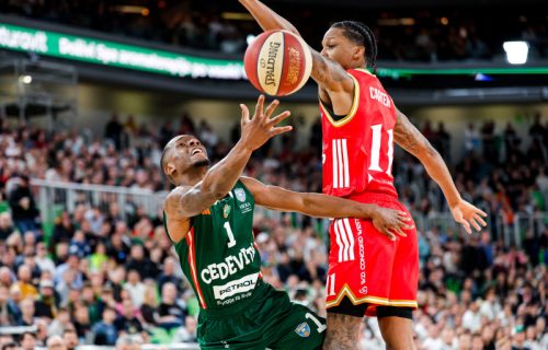 Zvezda gazi u "Stožicama": Crveno-beli u velikom plusu protiv Cedevite