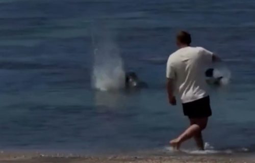 Skandal na Havajima: Bahati biznismen Igor gađao retku foku stenčugom u glavu (VIDEO)
