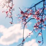 Nakon hladnog talasa stiže toplije vreme: RHMZ objavio prognozu - temperature do 26 stepeni
