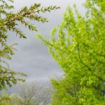 Prvo sunčano i toplo, pa onda preokret: Danas očekujte oluju i pljuskove, prvo u ovim delovima zemlje