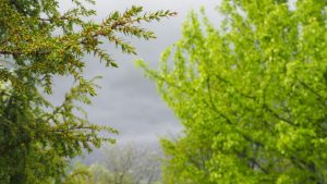 Danas smena sunca i oblaka: Temperatura do 30 stepeni, krajem dana stiže preokret