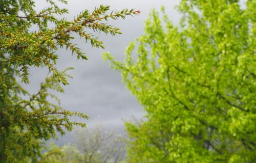 Stižu oluje i majski sneg, RHMZ upalio crveni alarm: Meteorolog Todorović o turbulentnim danima pred nama