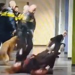 Sumanut snimak iz Holandije: Policija brutalno baca ženu na pod, izbija opšta tuča