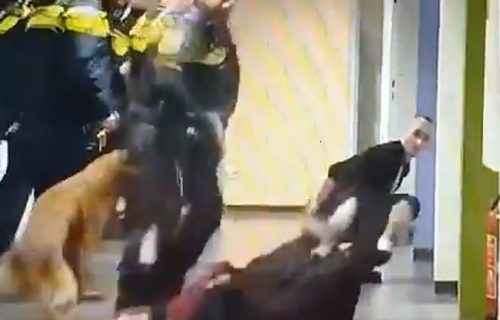 Sumanut snimak iz Holandije: Policija brutalno baca ženu na pod, izbija opšta tuča