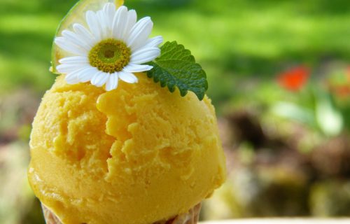 Mekani, kremasti sladoled od narandže: Zdravo osveženje za vrele dane (RECEPT)
