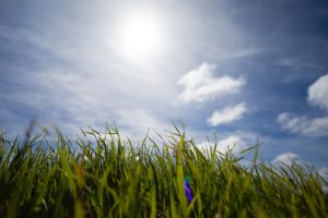 Danas do 32 stepena: Sunčano, letnje vreme, ponegde moguća kiša