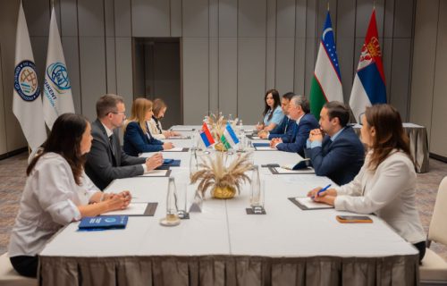Srbija sa Uzbekistanom sprema svoj prvi sporazum o radnoj mobilnosti: Ovo su obaveze stranih radnika