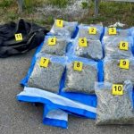 Velika akcija policije u Leskovcu: Pronađeno čak 10 kilograma marihuane