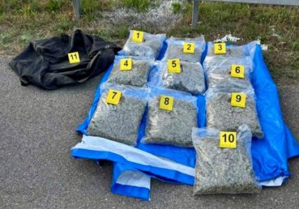 Velika akcija policije u Leskovcu: Pronađeno čak 10 kilograma marihuane