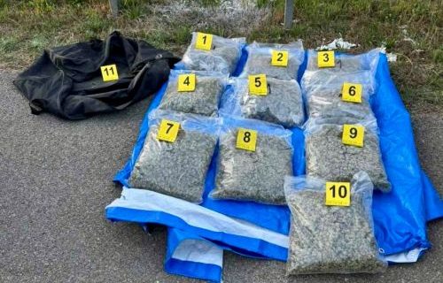 Velika akcija policije u Leskovcu: Pronađeno čak 10 kilograma marihuane