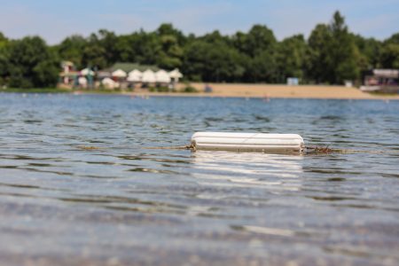 Šok snimak sa Ade Ciganlije: Nešto repato roni u plićaku, kao da je ogroman pacov